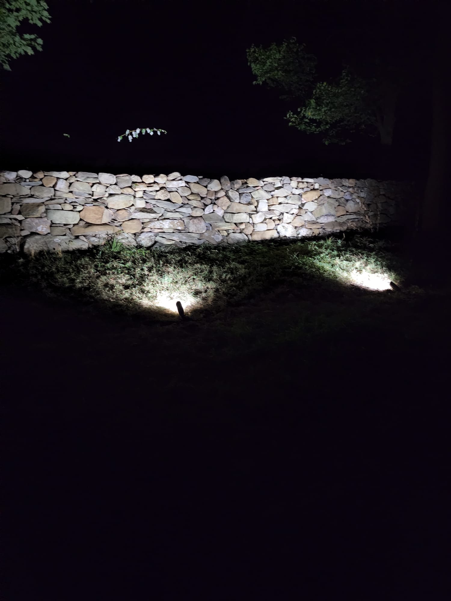 Landscape Lighting