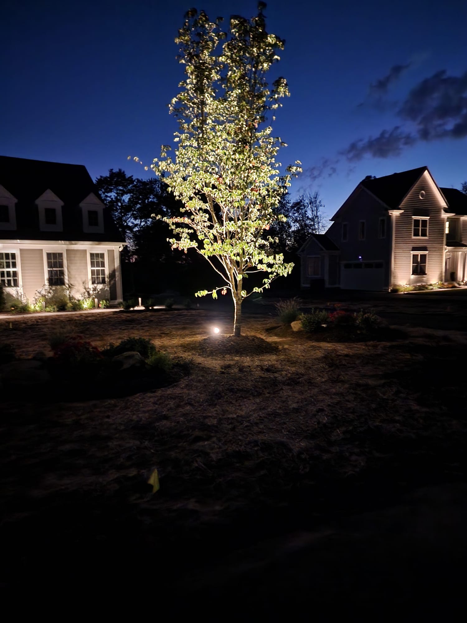 Landscape Lighting