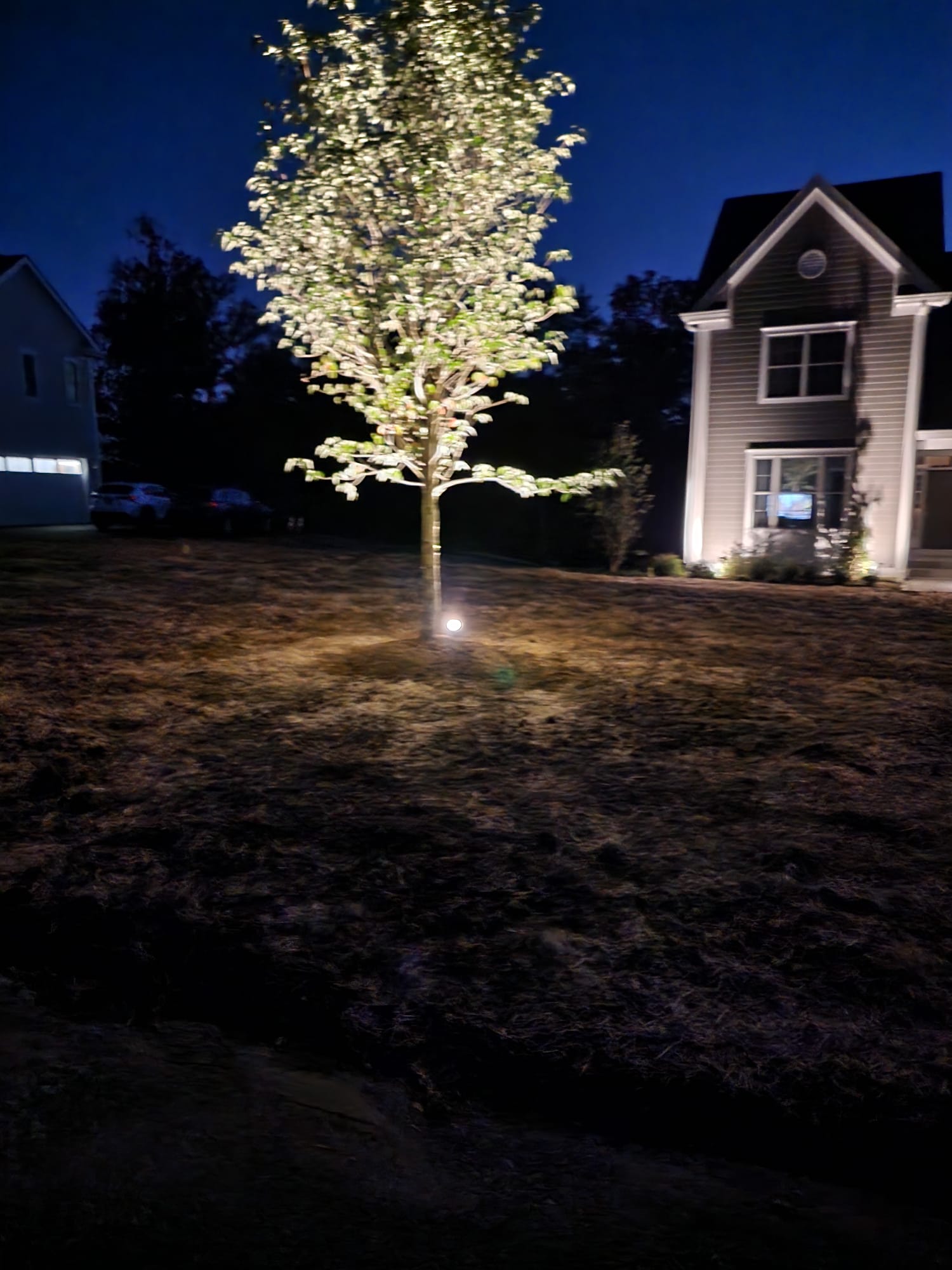 Landscape Lighting
