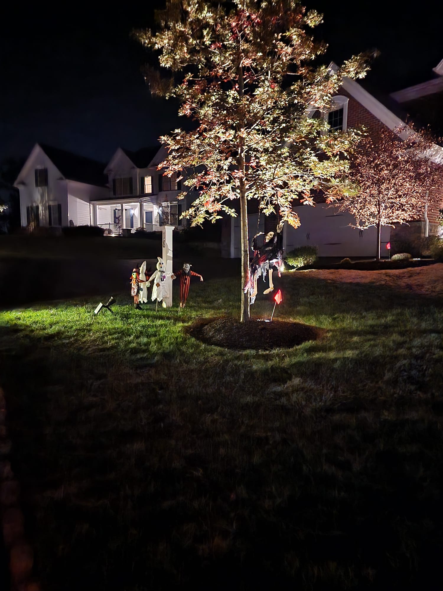 Landscape Lighting