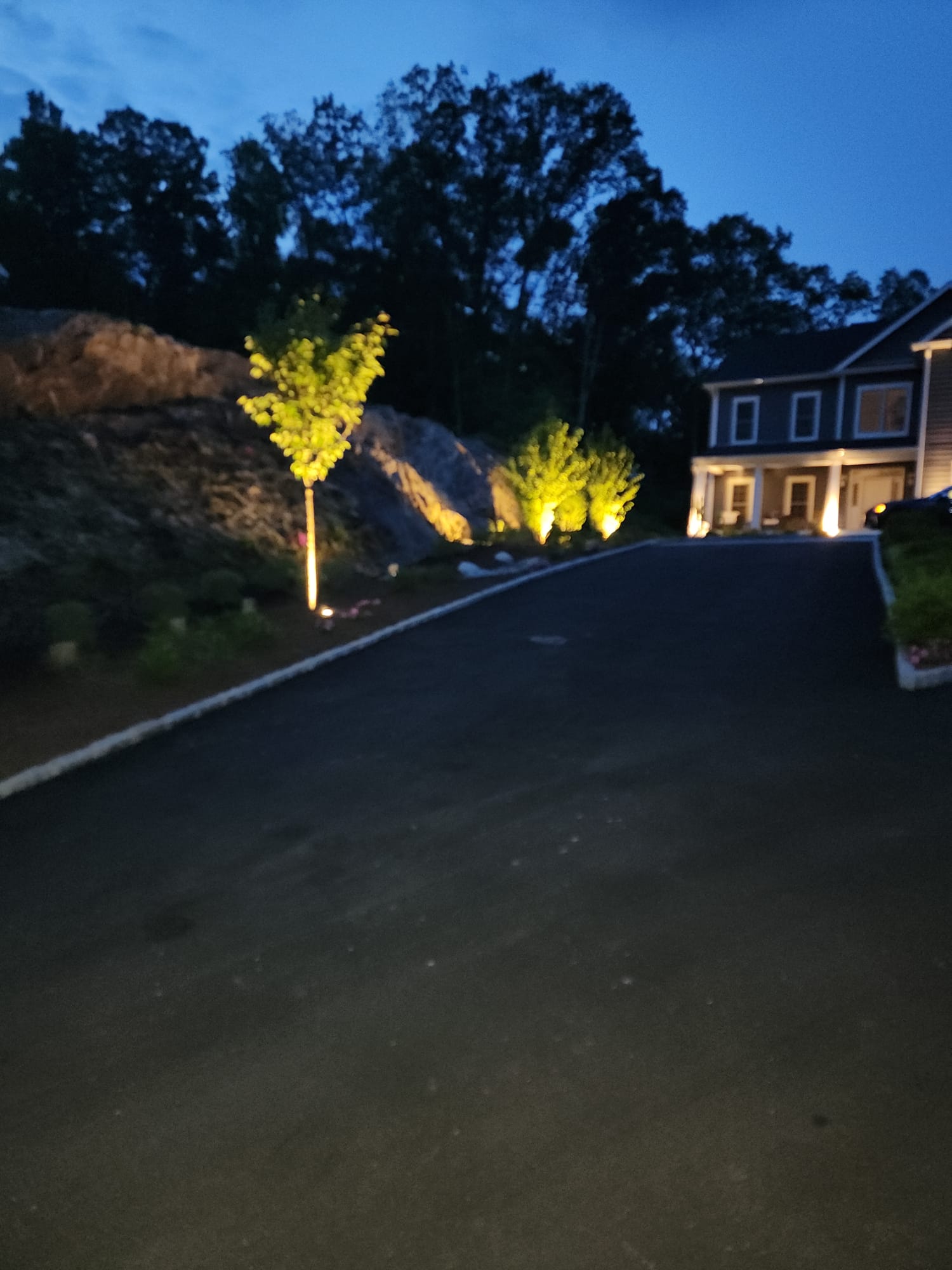 Landscape Lighting