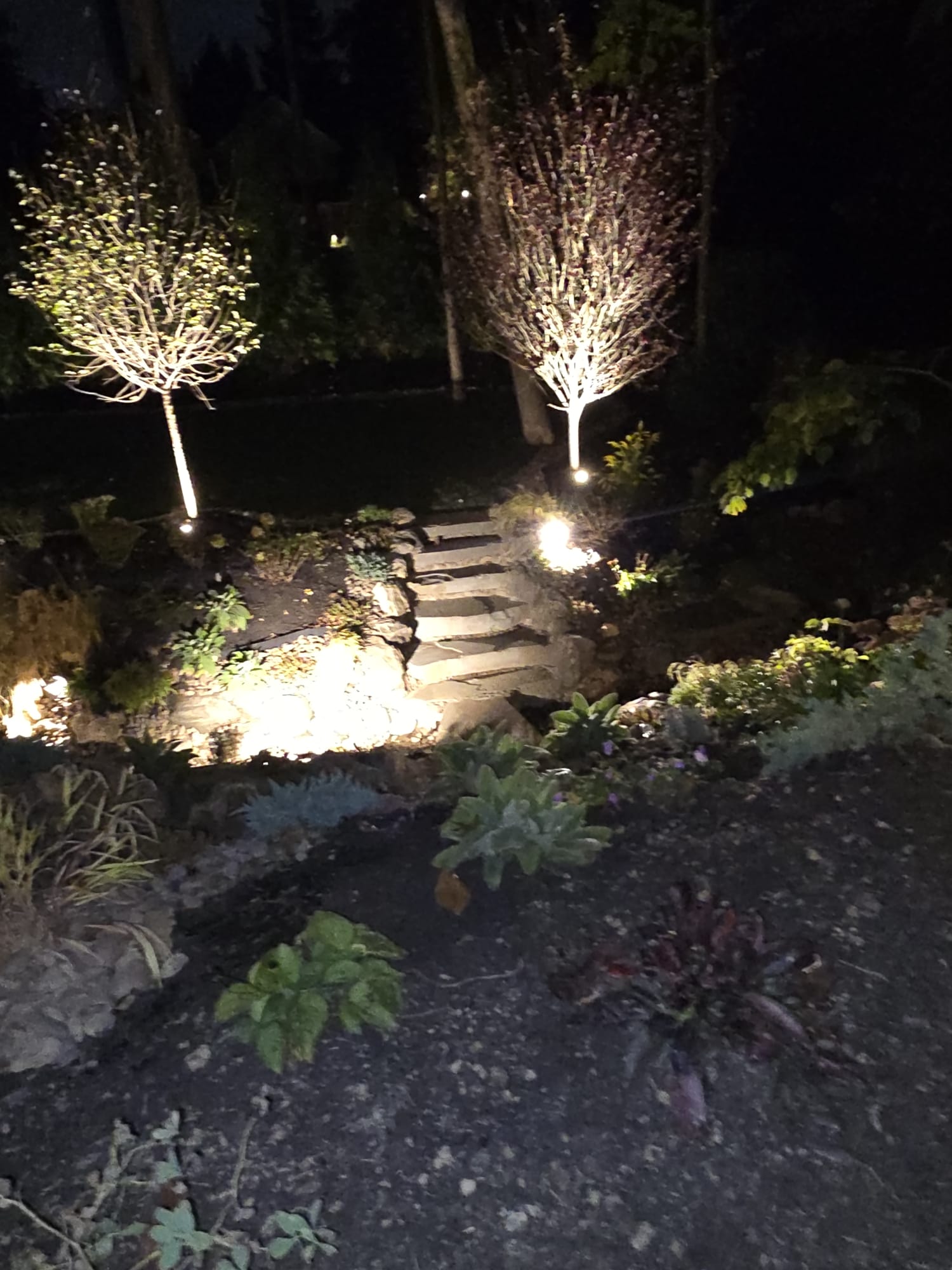 Landscape Lighting